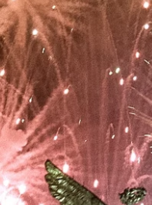 이벤트를 구성합니다.